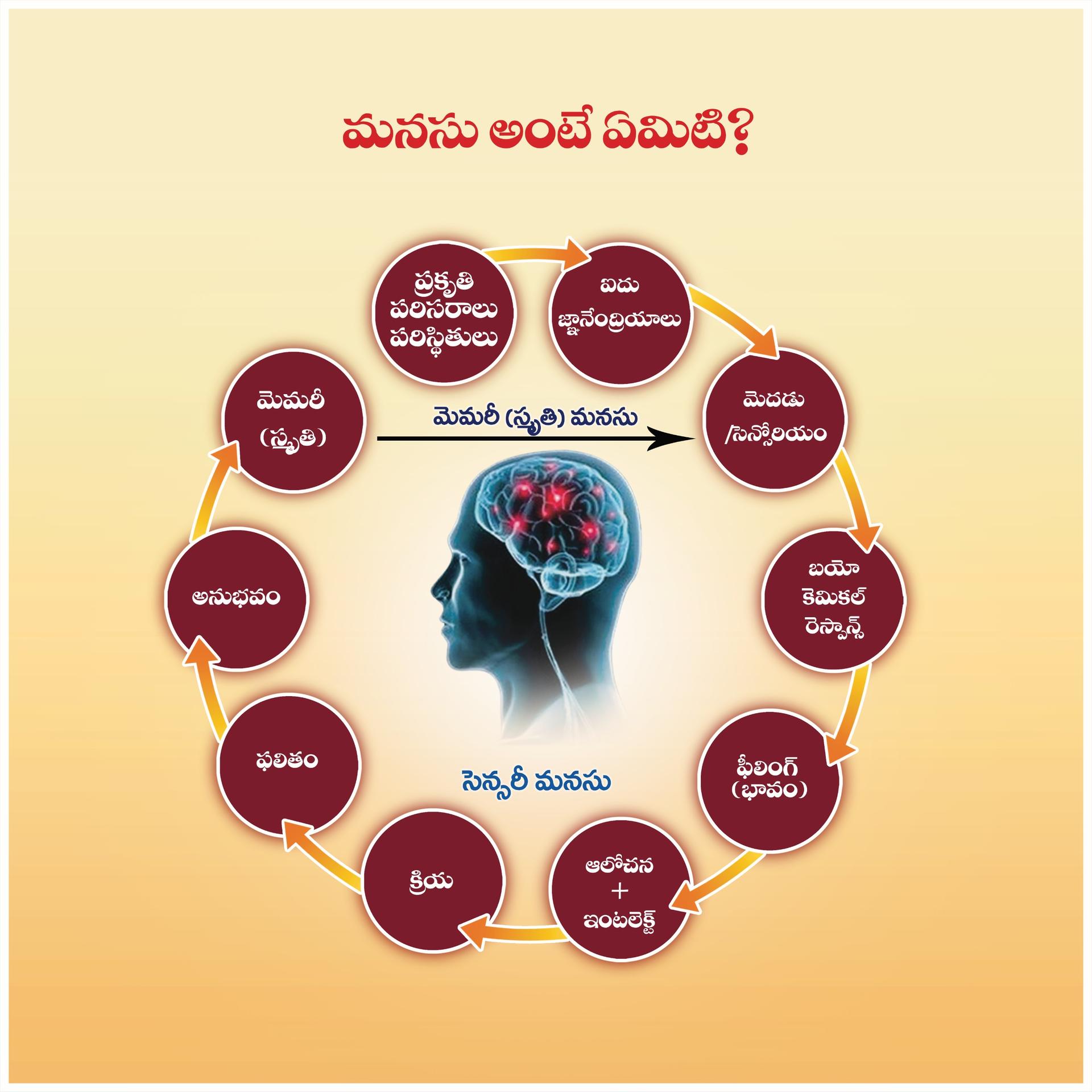 మనసు నిర్మాణం