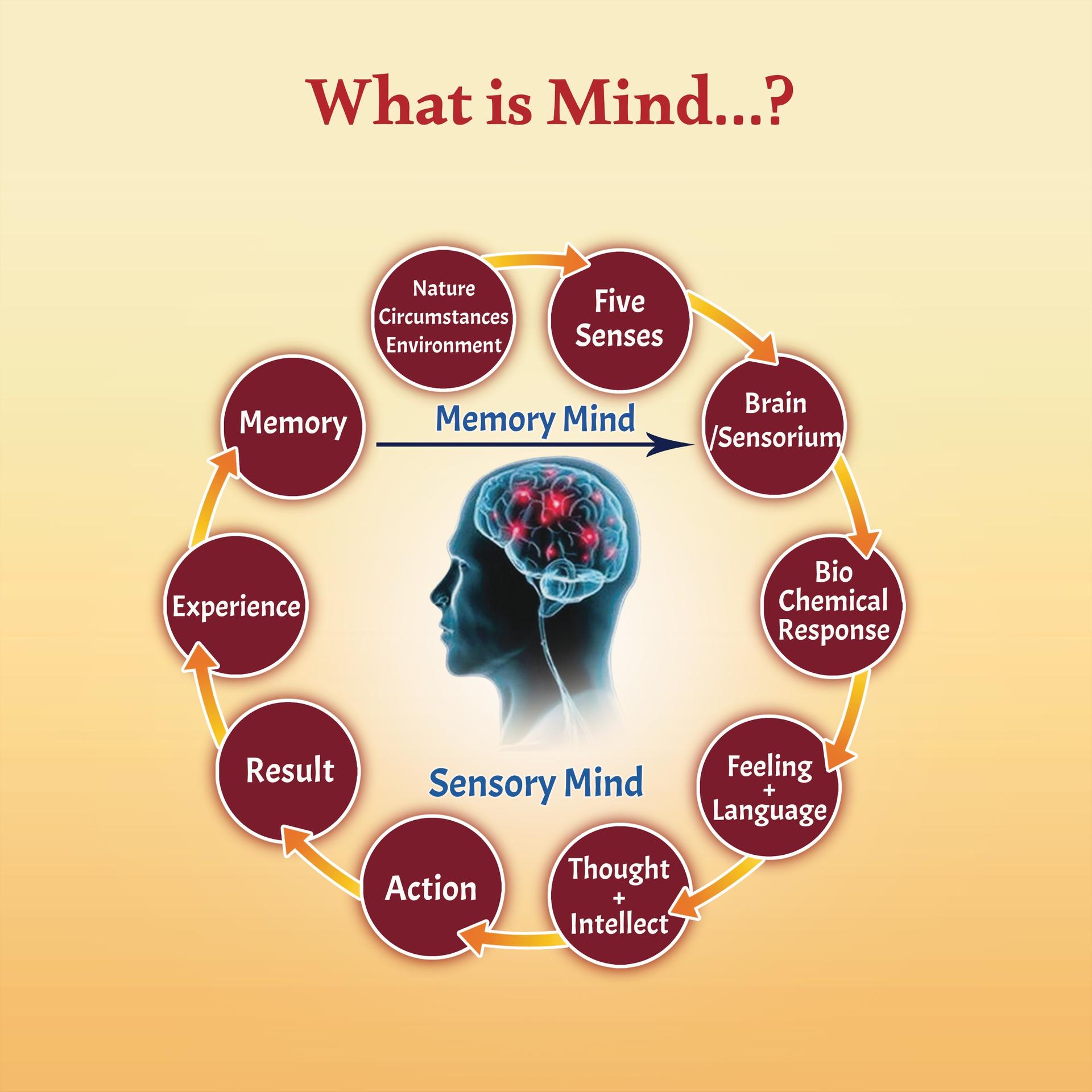 Mind formation